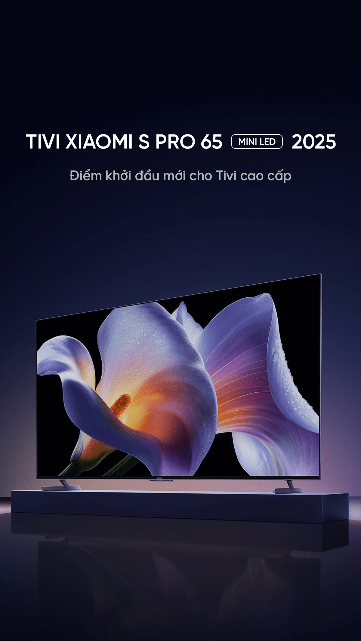 Tivi Xiaomi S Pro 65 Mini LED 65 Inch 2025 288Hz Ram 4/64GB