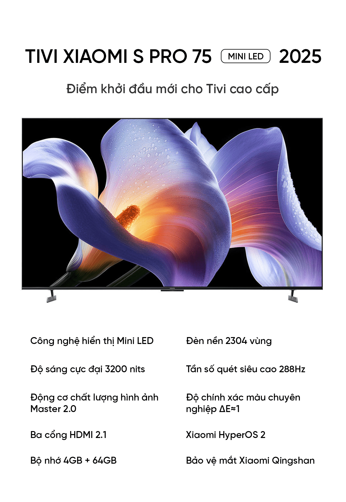 Tivi Xiaomi S Pro 75 Mini LED 75 Inch 2025 288Hz Ram 4/64GB