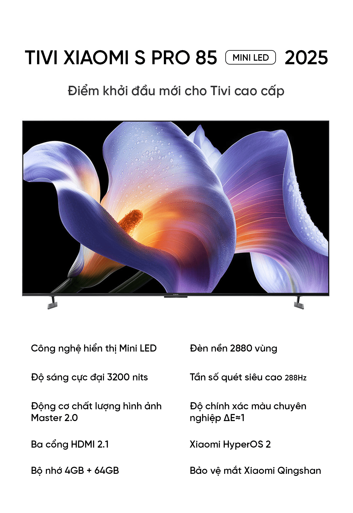 Tivi Xiaomi S Pro 85 Mini LED 85 Inch 2025 288Hz Ram 4/64GB