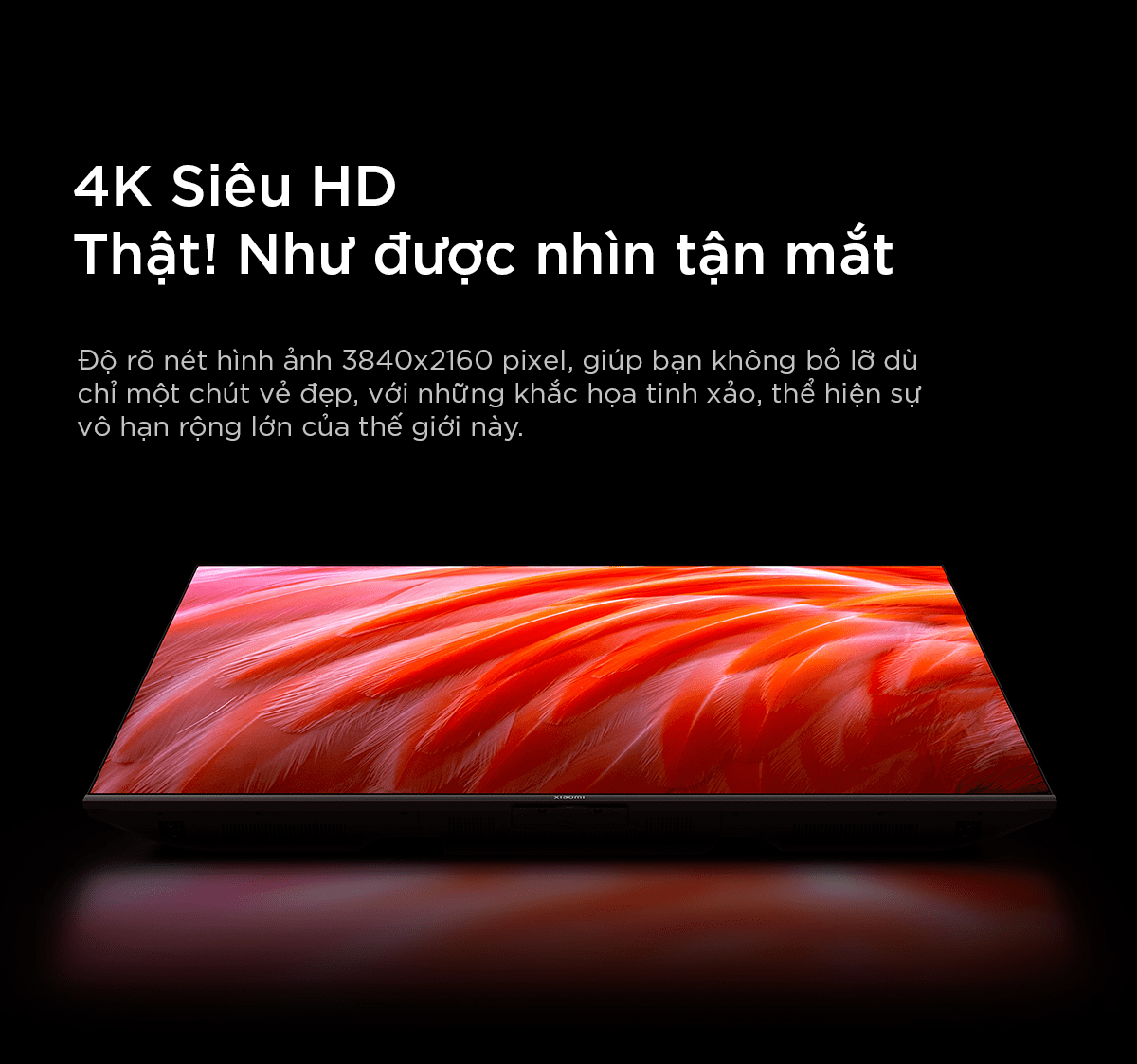 Tivi Xiaomi A65 65 Inch UHD 4K 120Hz Ram 2GB Rom 32GB
