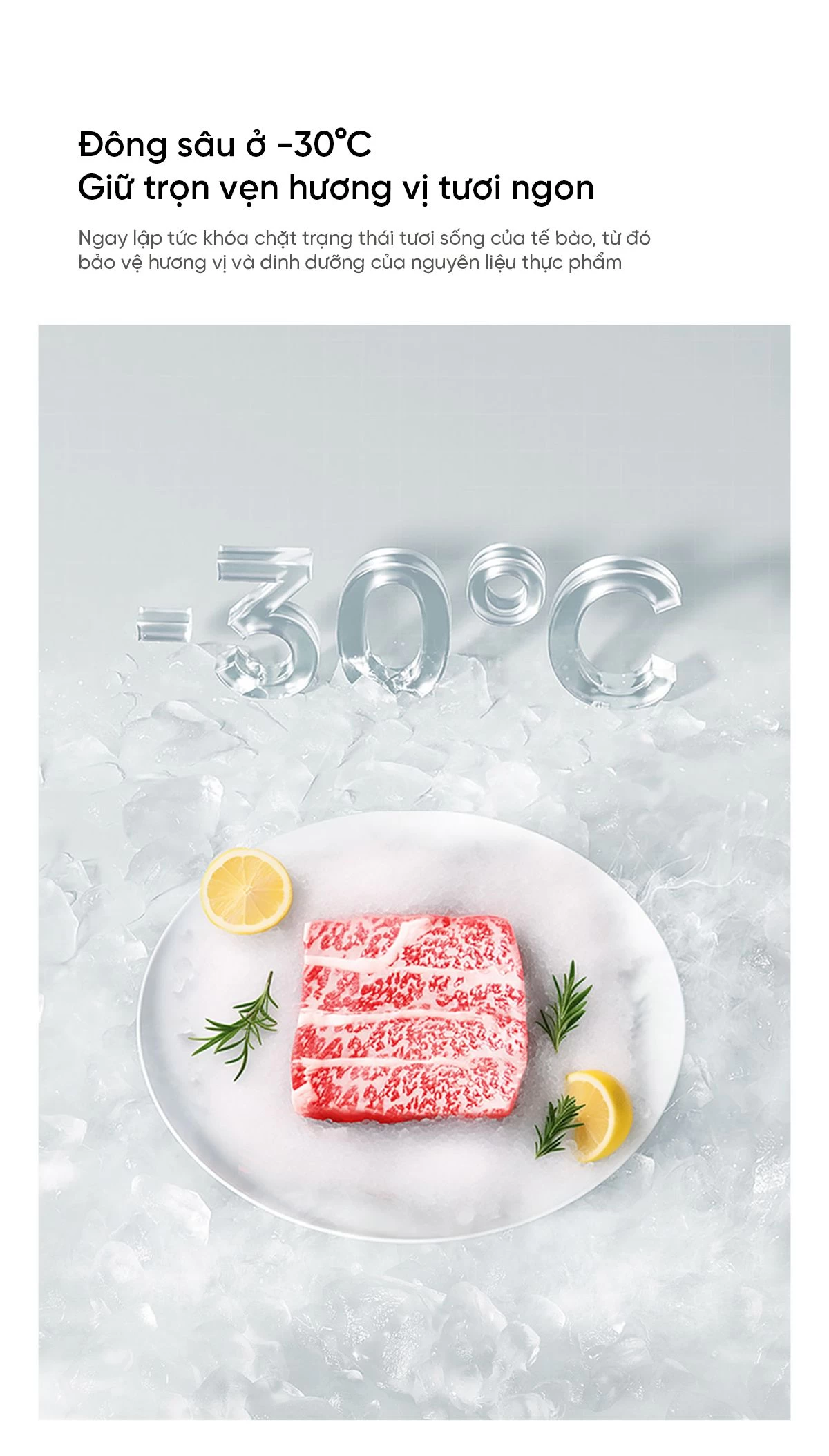 Tủ lạnh MiniJ Retro 508L Plus