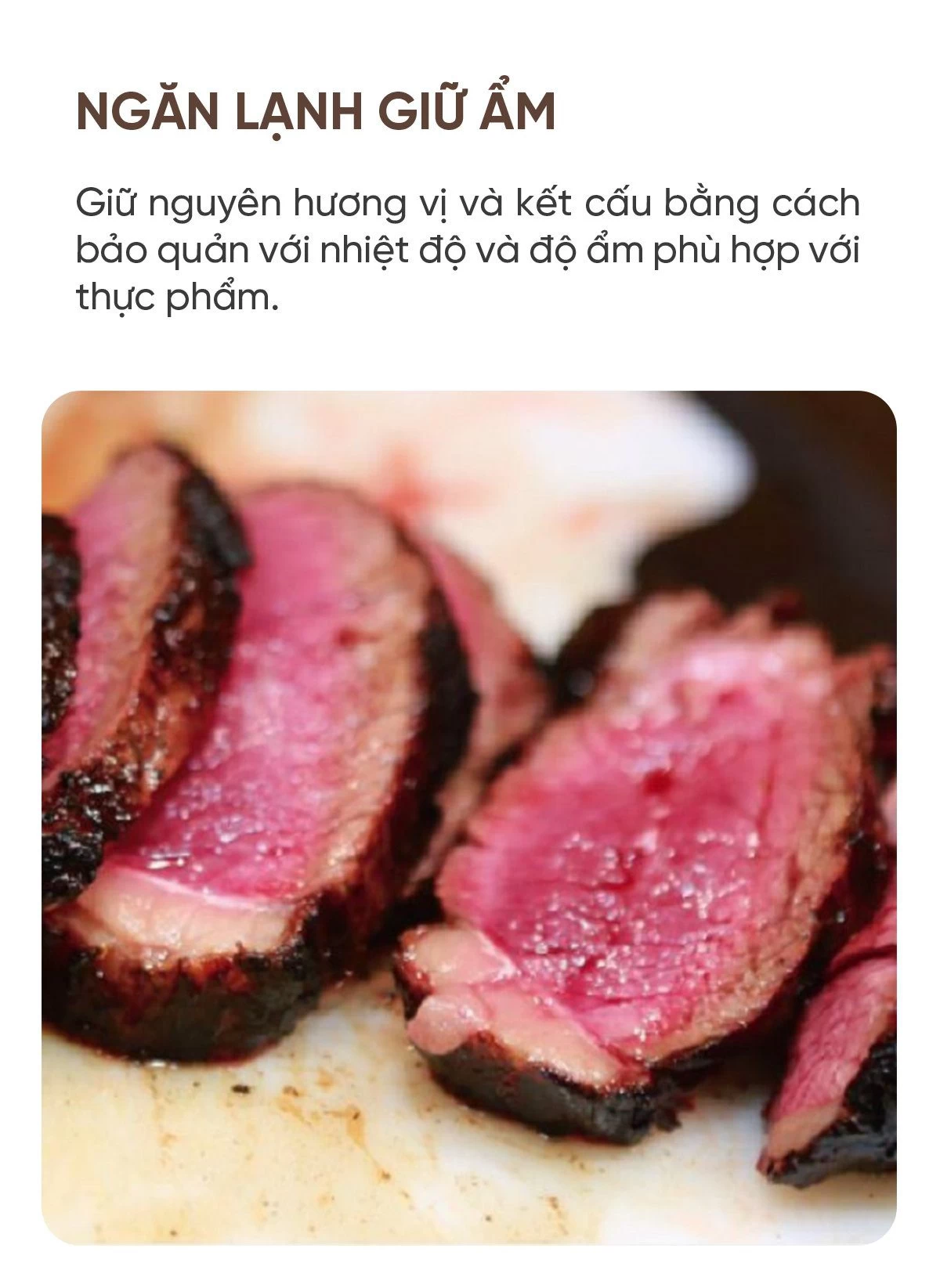 tu-lanh-toshiba-gr-w470gsk-465l-3-4 Tủ lạnh Toshiba GR-W470GSK 465L