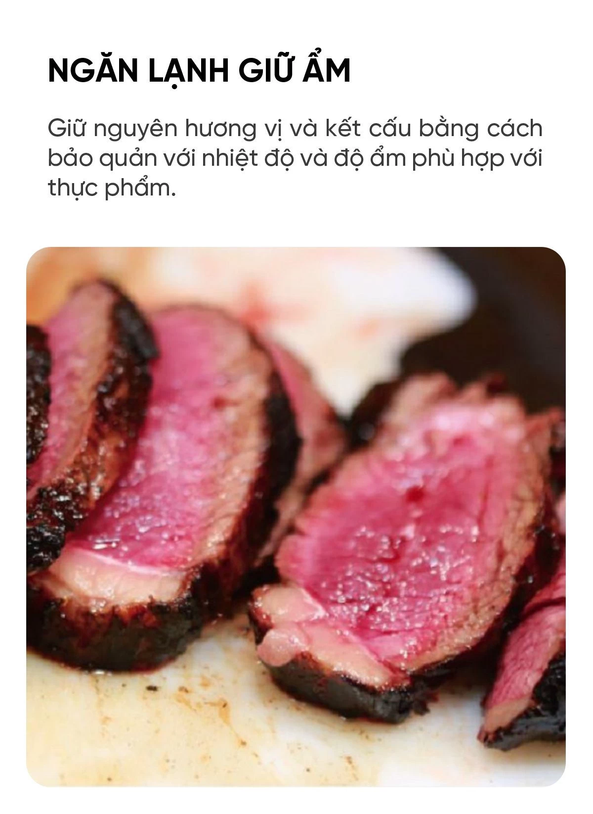 Tủ lạnh Toshiba GR-Y470GSH 465L