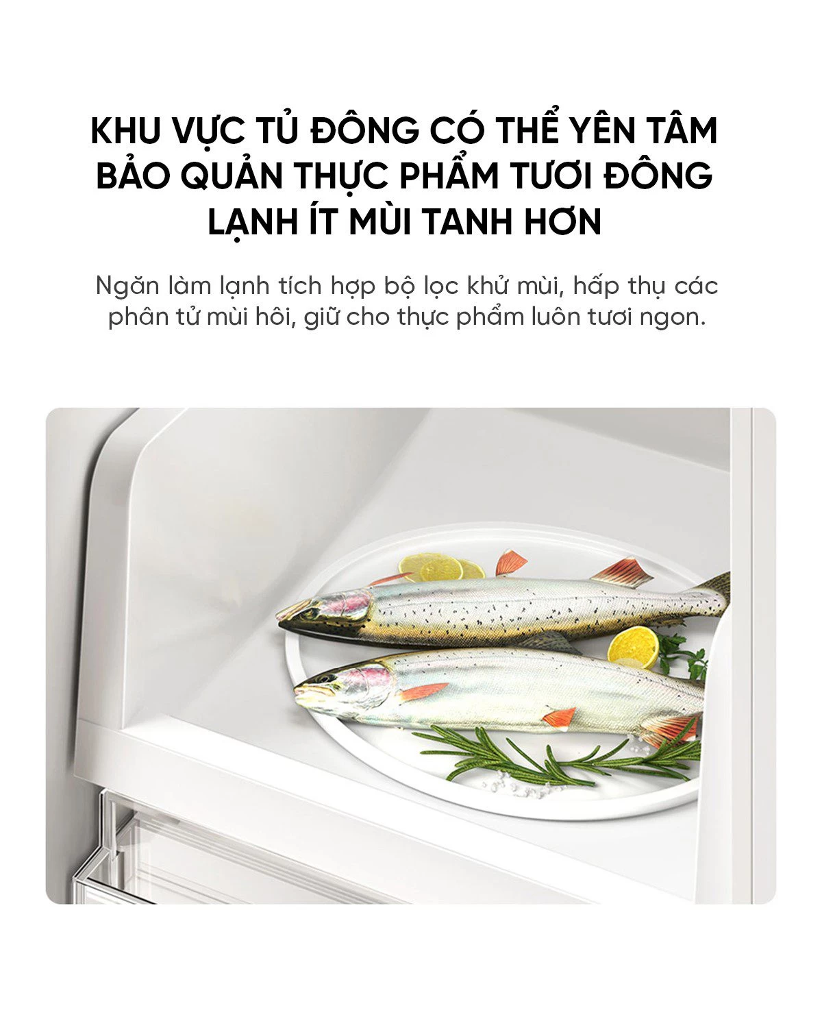 Tủ lạnh Xiaomi Mijia 439L, 4 cửa, thiết kế mỏng, tiết kiệm điện