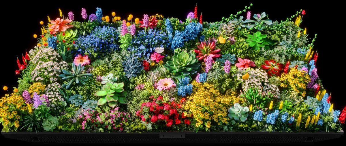 xiaomi-s-pro-75-mini-led-section-10-1 Xiaomi S Pro 65 Mini LED