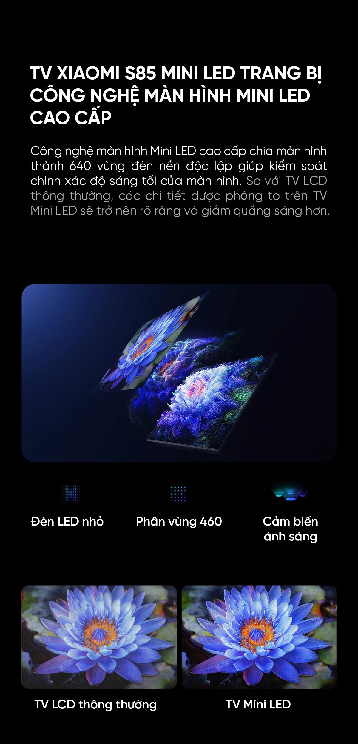 Xiaomi S85 Mini LED