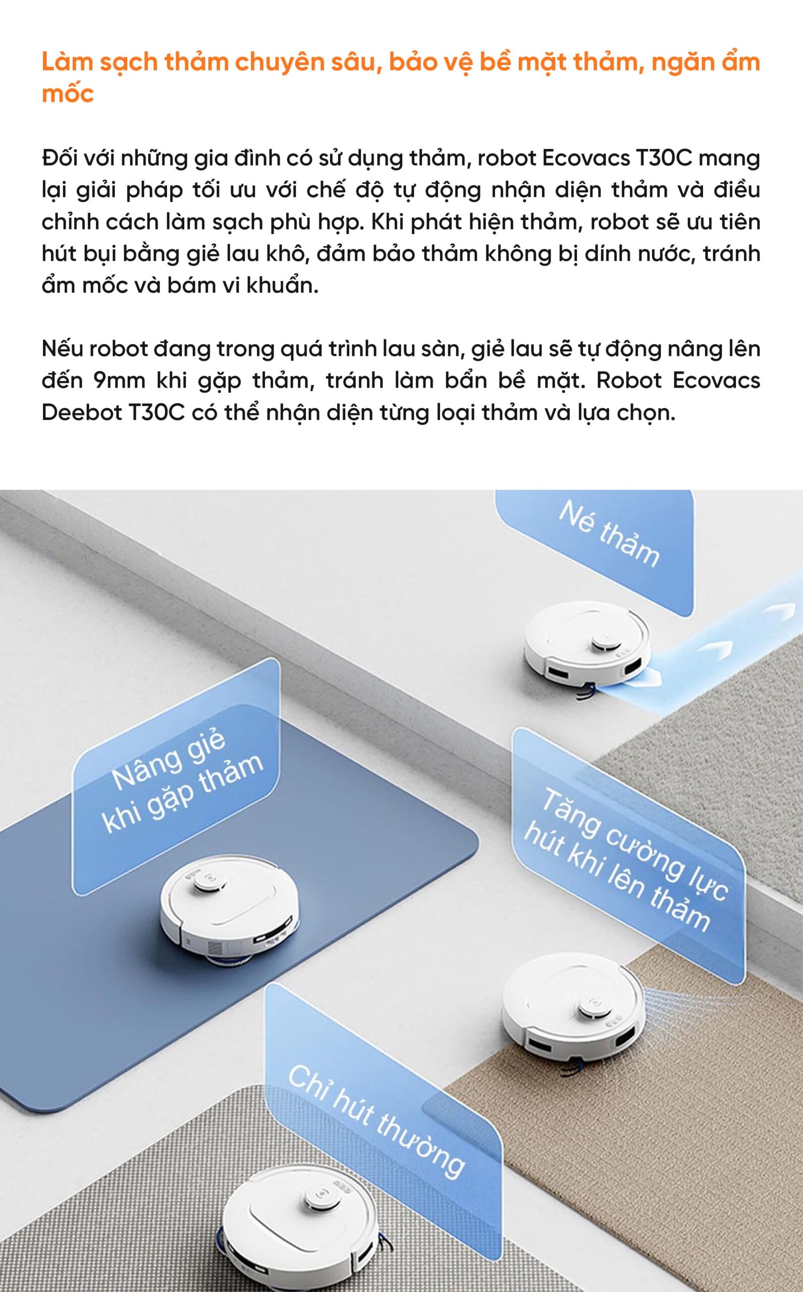 Robot hút bụi lau nhà Ecovacs Deebot T30C 2026