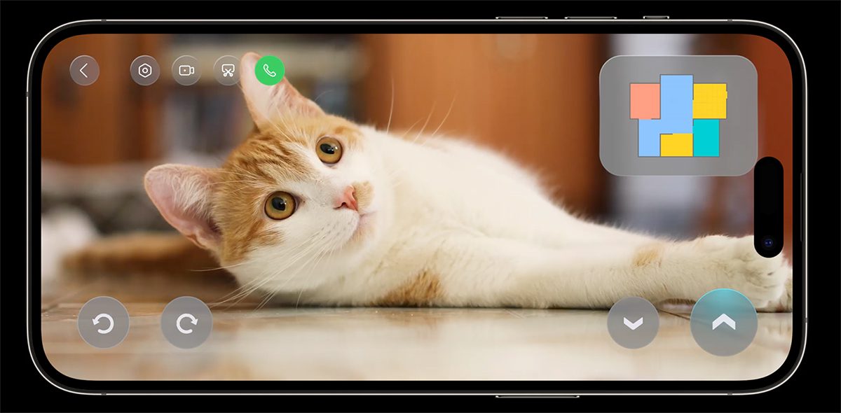 Cuộc gọi video thời gian thực