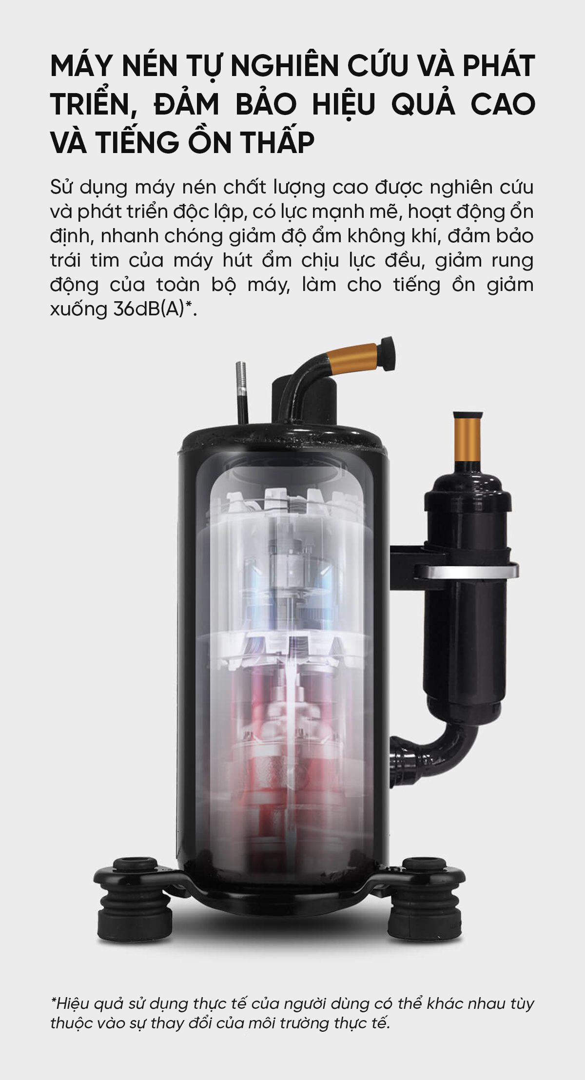 Máy Hút Ẩm Xiaomi NWT 24L Quốc Tế