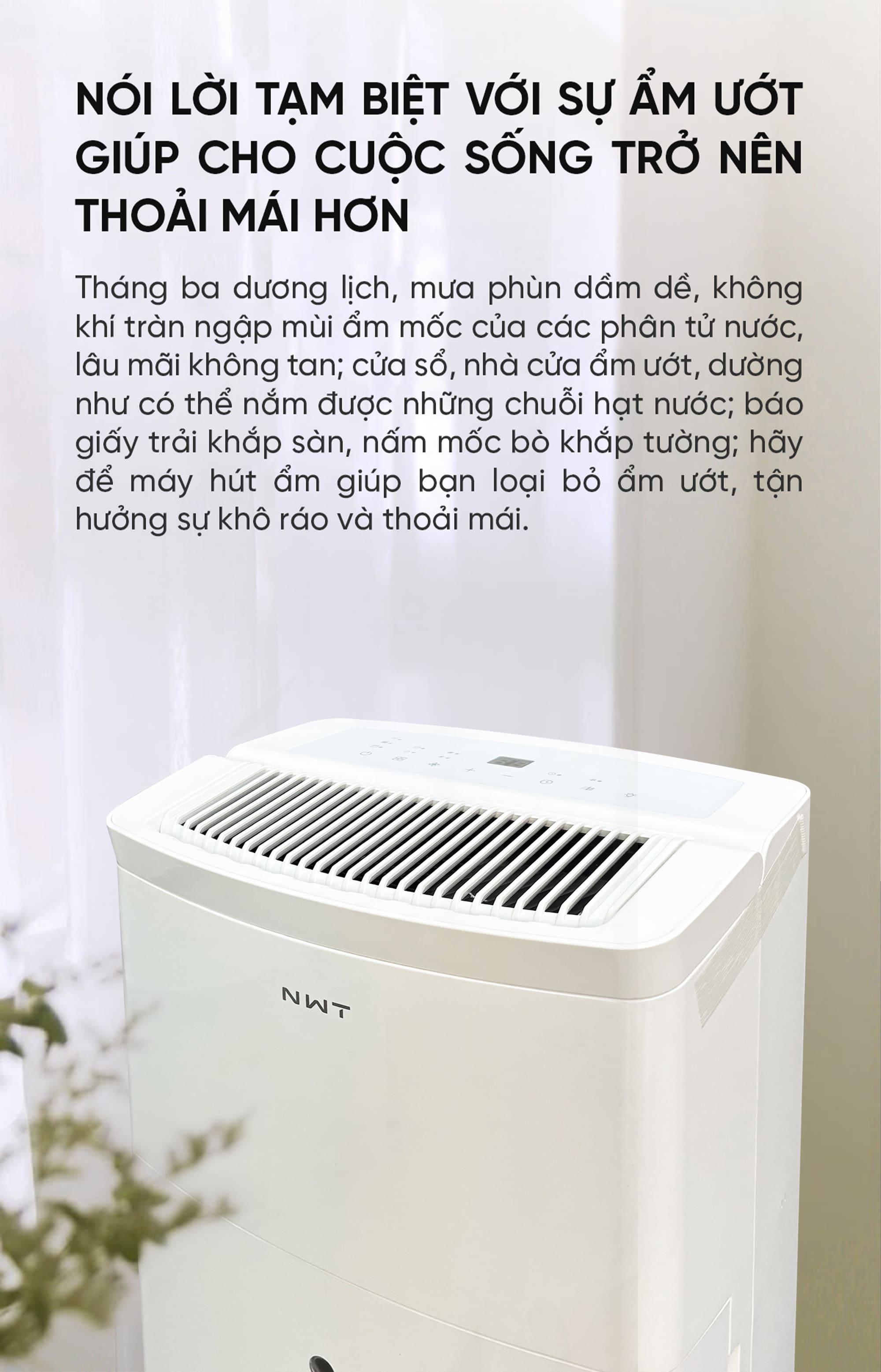 Máy Hút Ẩm Thông Minh Xiaomi NWT 30L Quốc Tế
