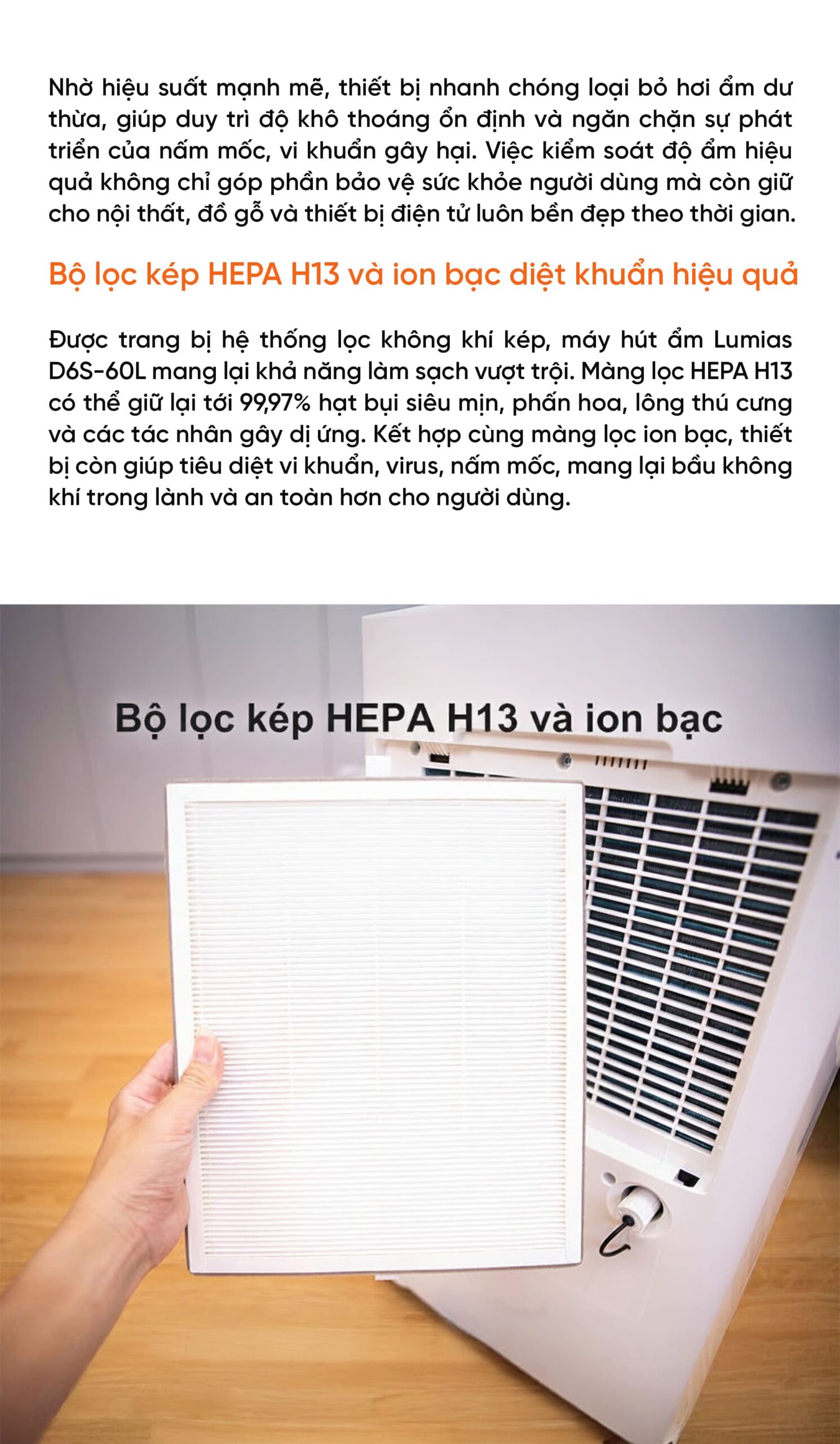 Máy hút ẩm kiêm lọc khí thông minh 60L Lumias D6S-60L (HEPA)