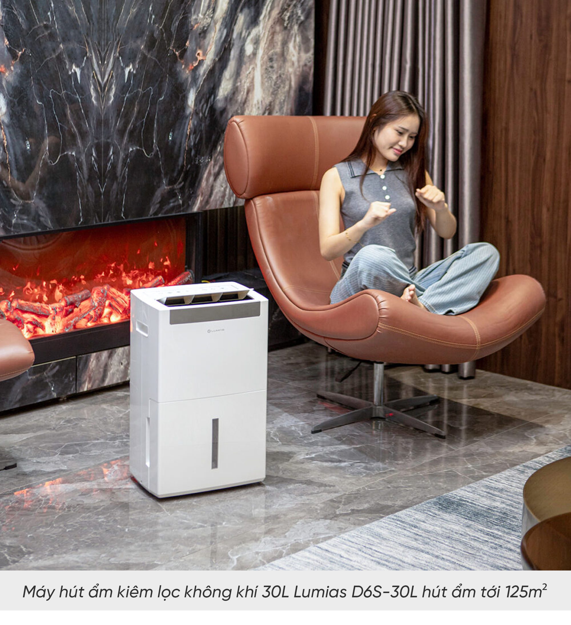 Máy hút ẩm kiêm lọc không khí Lumias D6S-30L - 125m²