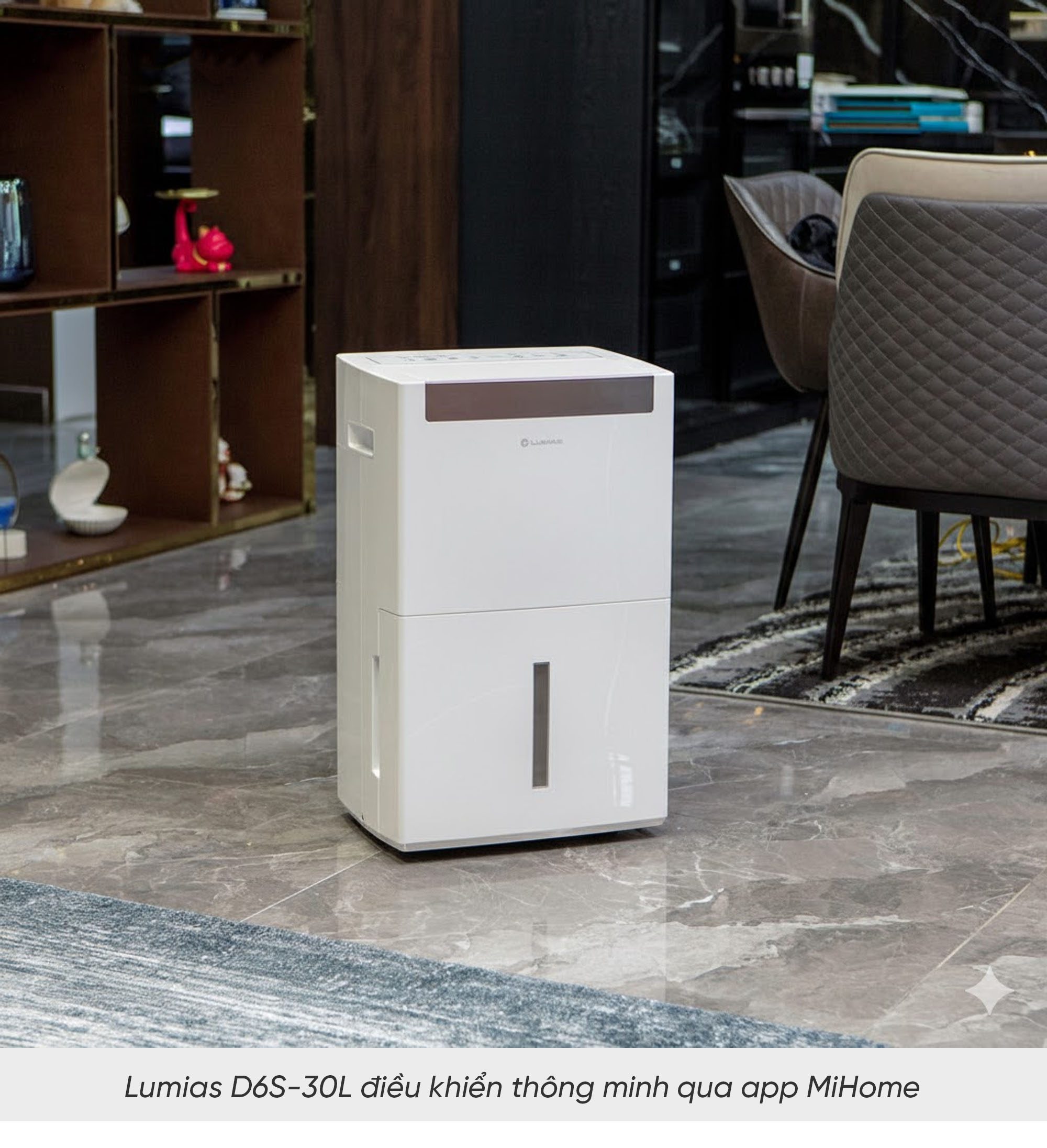 Máy hút ẩm kiêm lọc không khí Lumias D6S-30L - 125m²