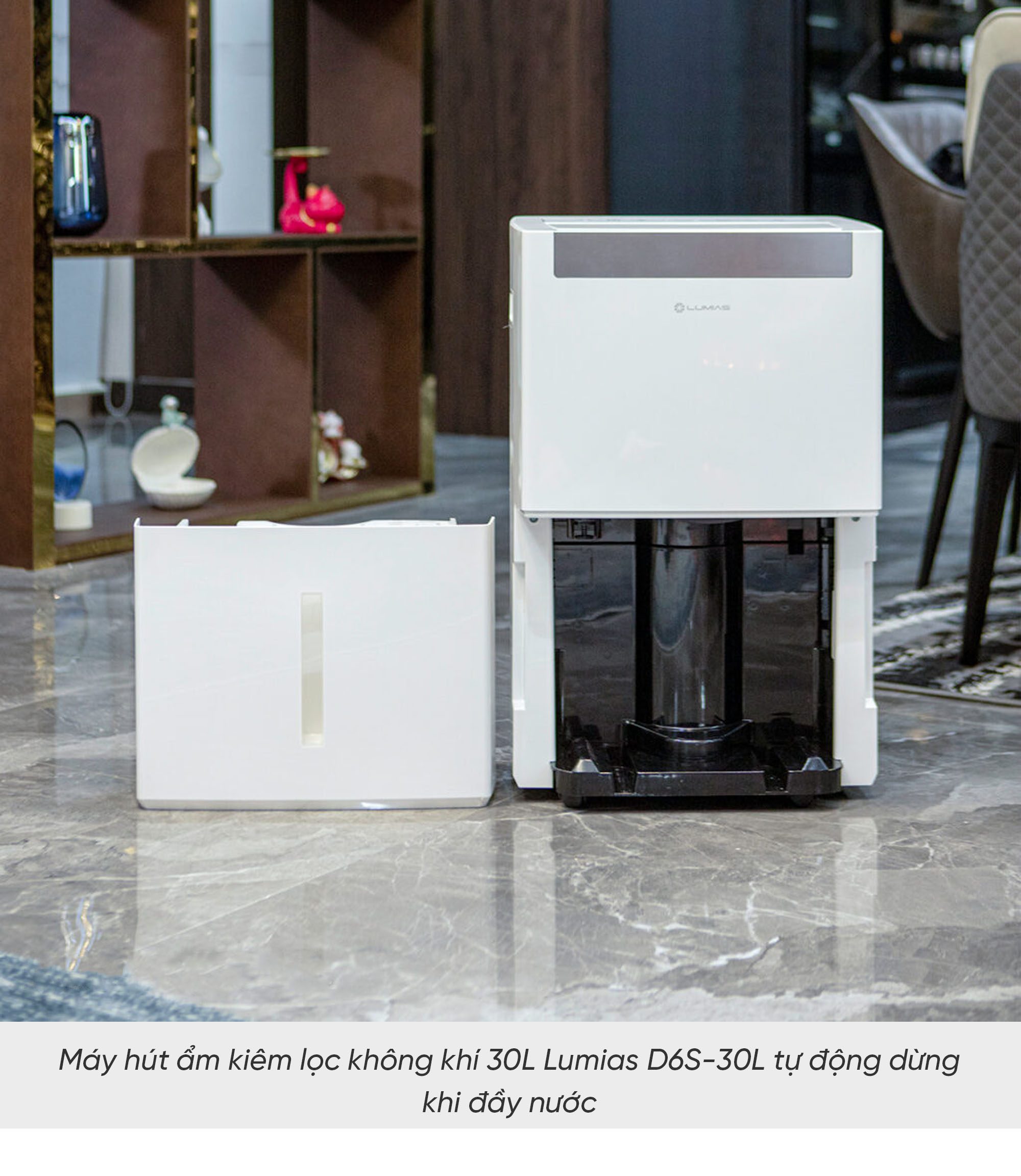Máy hút ẩm kiêm lọc không khí Lumias D6S-30L - 125m²