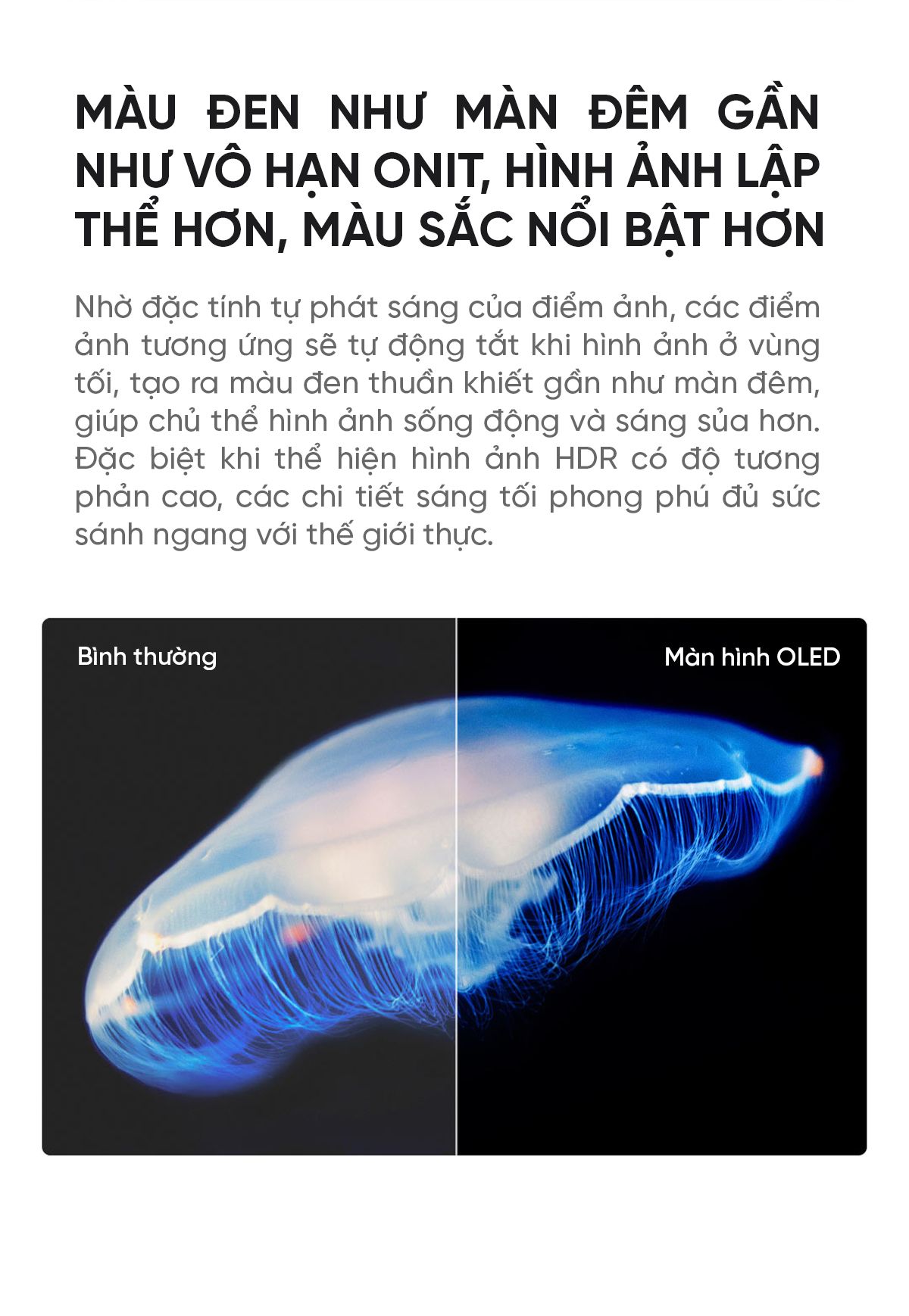 Tivi Xiaomi TV6 65 Inch Màn Hình Oled Công Nghệ Siêu Mỏng Ram 3/32GB