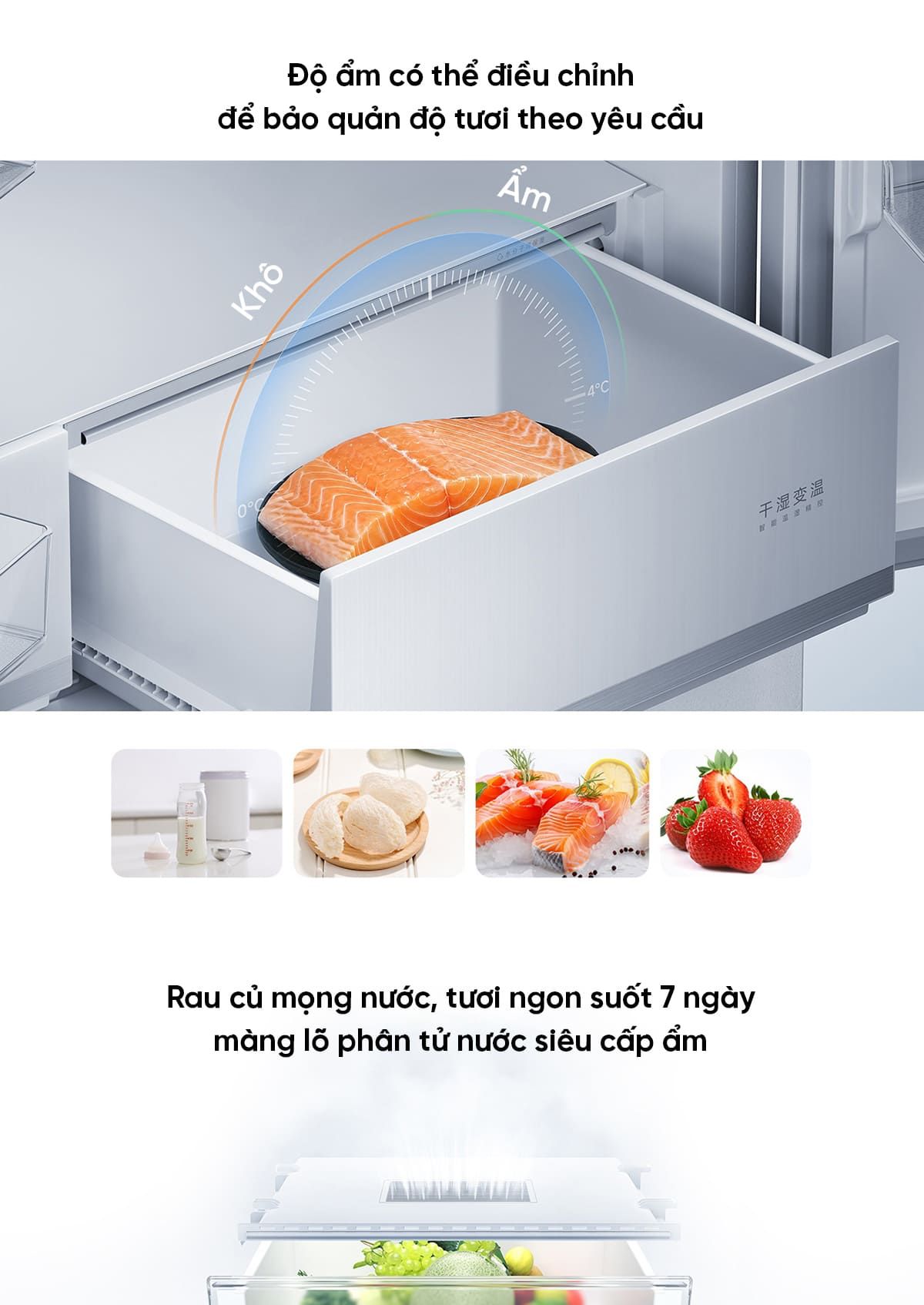 Tủ Lạnh 508L Pro 2026 Làm Đá Tự Động - Model BCB-508WSSMPDIN