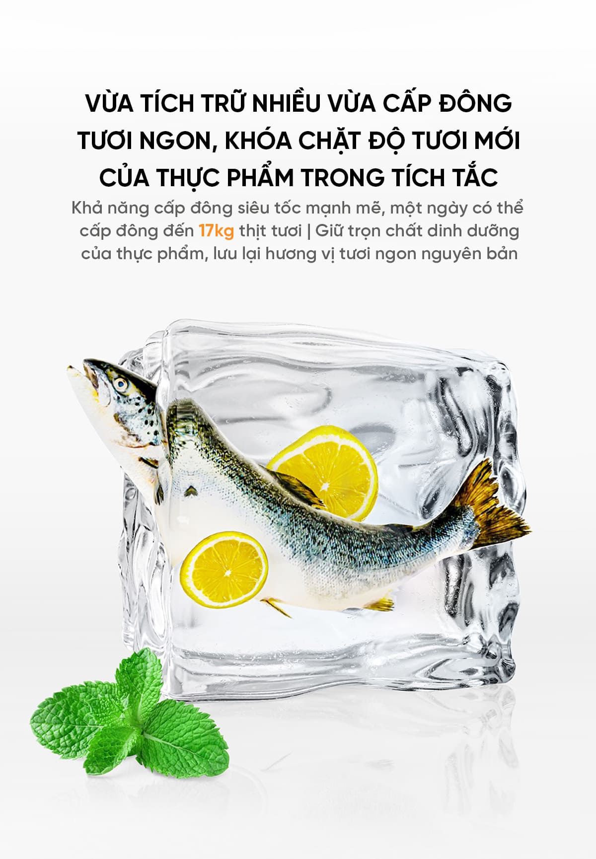 Tủ Lạnh Xiaomi Mija 600L 2026 Làm Lạnh Kép